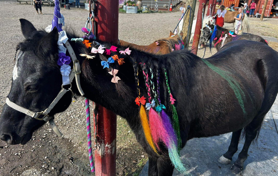 Pony Parties