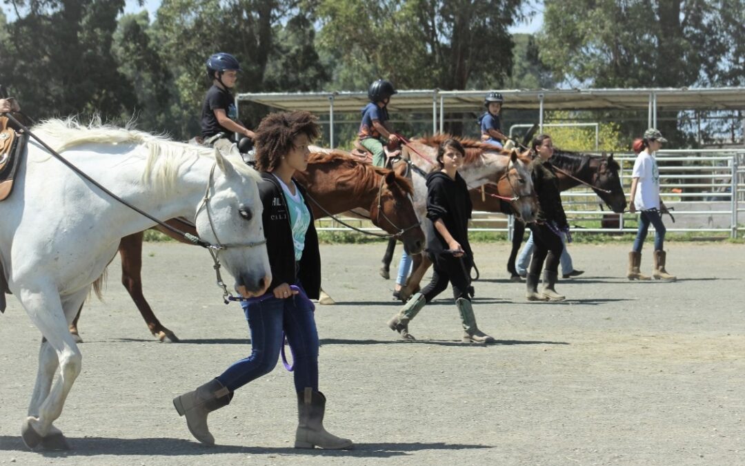 SpiritHorse Volunteer Team