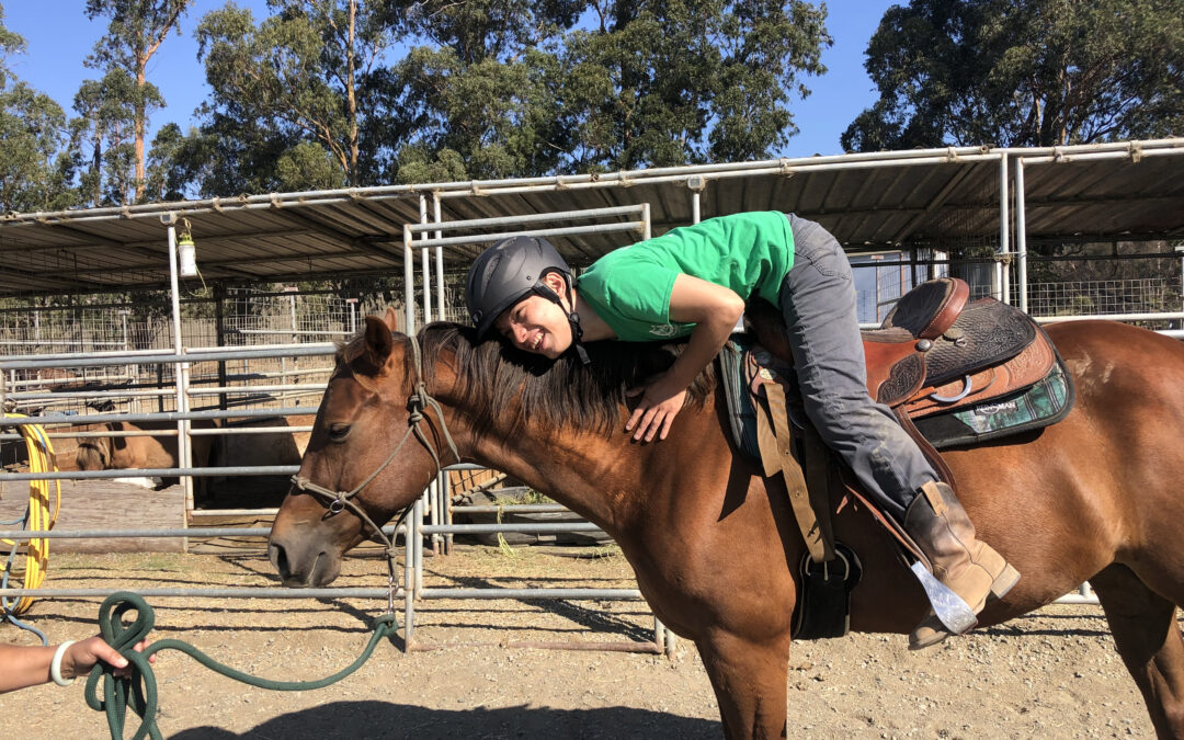 Equine-Assisted Therapeutic Riding