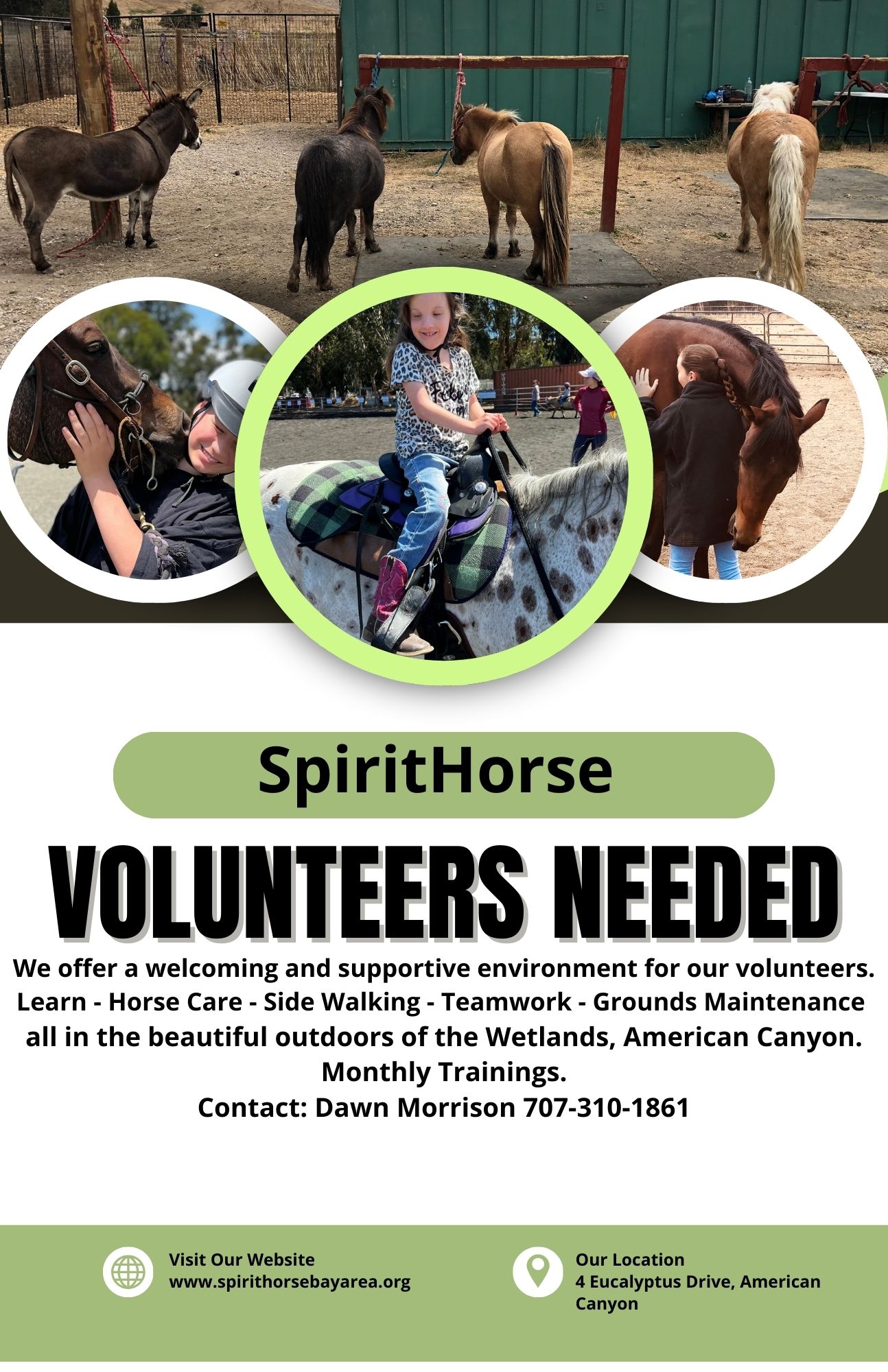 Volunteer